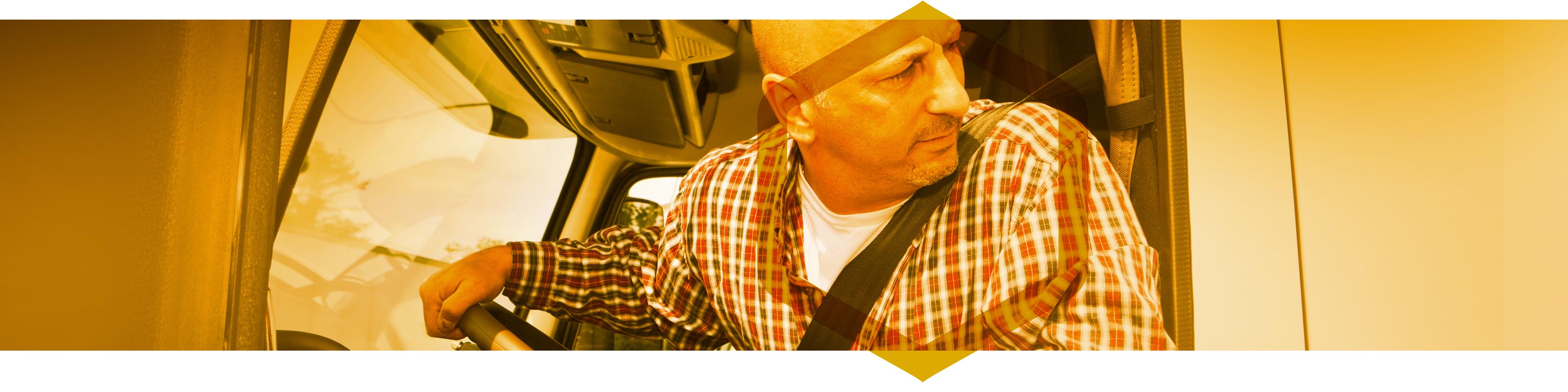 Medallion Plus Products Header Image