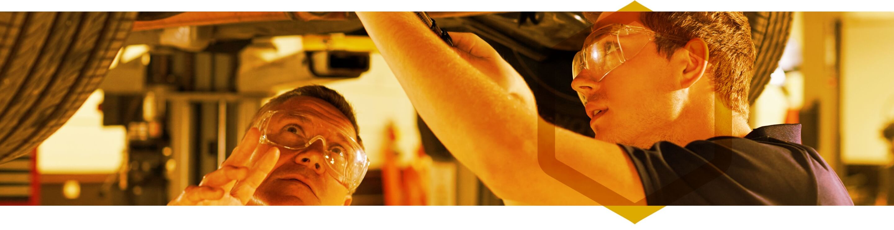 Medallion Plus Header Image